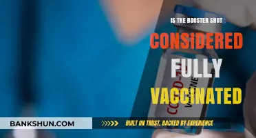Booster Shot: Does It Mean Fully Vaccinated Status?