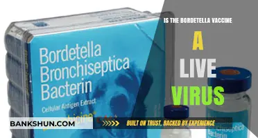 Is the Bordetella Vaccine a Live Virus? Facts Explained