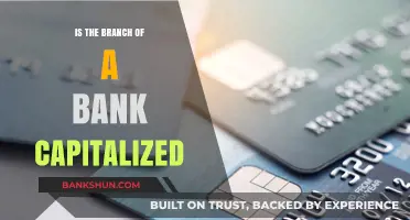 Is Bank Branch Capitalization Required? Understanding Financial Terminology Basics