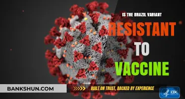 Brazil COVID-19 Variant: Vaccine Resistance Concerns and Effectiveness Explained