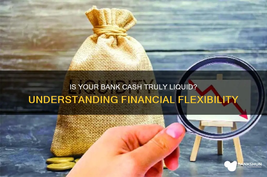 is the cash in your bank liquidified