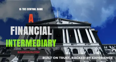 Is the Central Bank a Financial Intermediary? Exploring Its Role