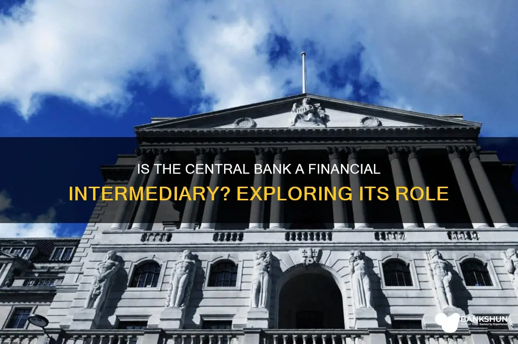 is the central bank a financial intermediary