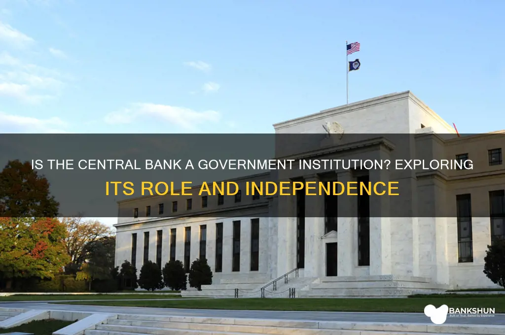is the central bank a government institution