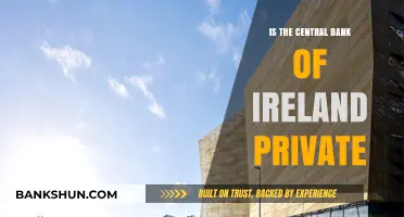 Is the Central Bank of Ireland Private? Unveiling Ownership and Control