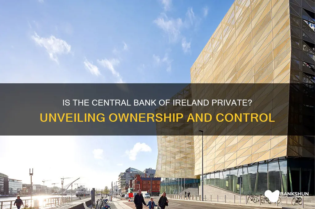 is the central bank of ireland private