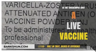 Is the Chickenpox Vaccine Live? Understanding the Varicella Shot