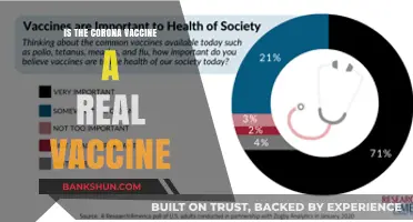 Is the Corona Vaccine Legitimate? Debunking Myths and Misconceptions