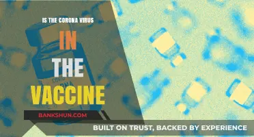 Debunking Myths: Does the COVID-19 Vaccine Contain Coronavirus?