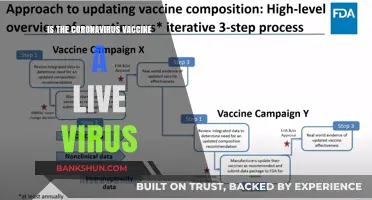 Is the Coronavirus Vaccine a Live Virus? Unraveling the Facts