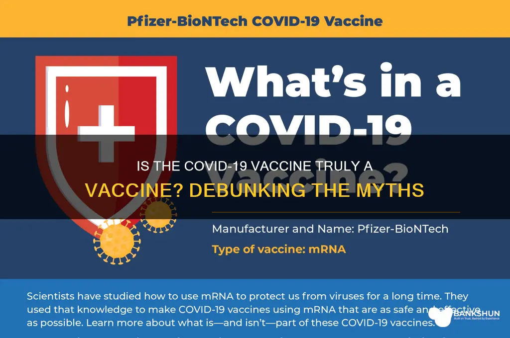 is the coronavirus vaccine actually a vaccine