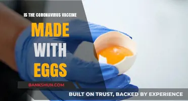 Is the Coronavirus Vaccine Made with Eggs? Facts Revealed