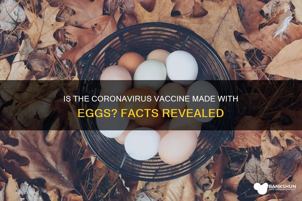 is the coronavirus vaccine made with eggs