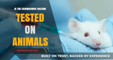 Animal Testing in COVID-19 Vaccines: Ethical Concerns and Scientific Necessity