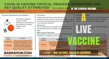 Is the COVID-19 Vaccine Live? Understanding Its Composition and Safety
