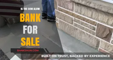 Is Cow Alum Bank for Sale? Exploring the Rumors and Facts