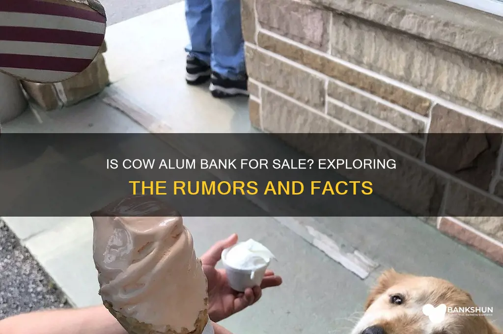 is the cow alum bank for sale