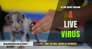 Is DA2PP a Live Virus Vaccine? Facts Pet Owners Need