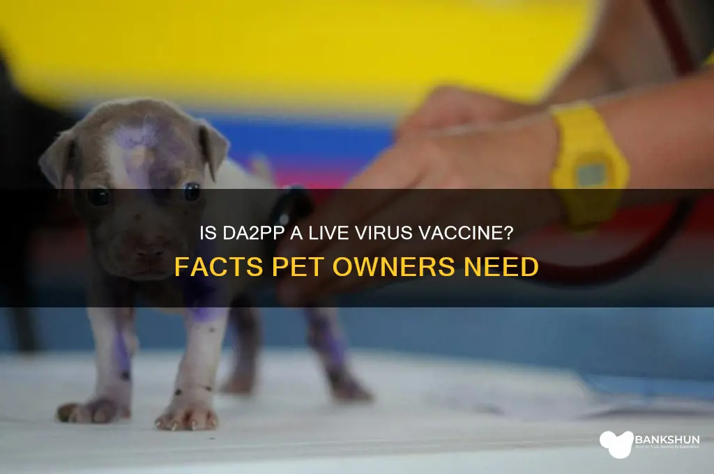 is the da2pp vaccine a live virus