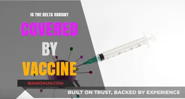 Delta Variant and Vaccines: Are You Still Protected?