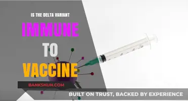 Delta Variant and Vaccines: Are We Still Protected?