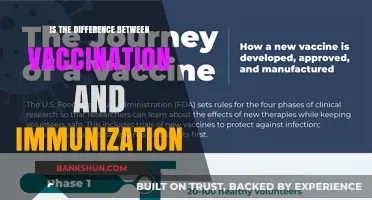Vaccination vs. Immunization: Understanding the Key Differences and Benefits
