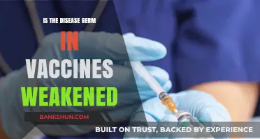Are Vaccine Germs Weakened? Unraveling the Science Behind Immunizations