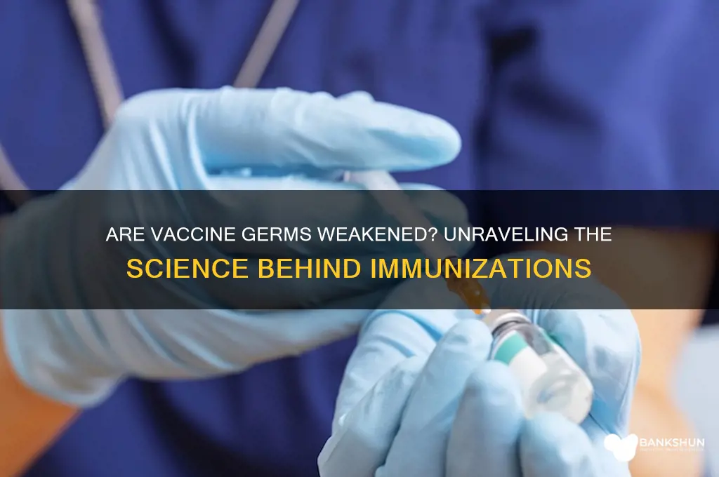 is the disease germ in vaccines weakened