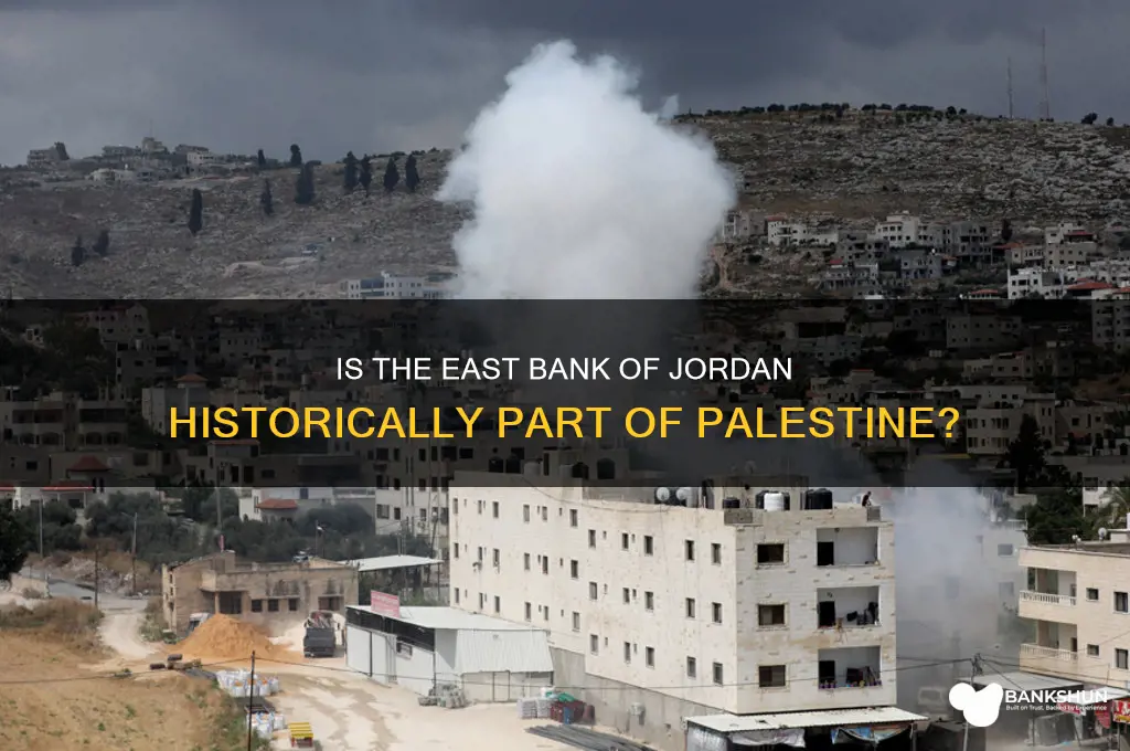 is the east bank part of palestine
