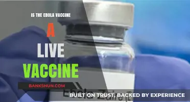 Is the Ebola Vaccine Live? Understanding Its Composition and Safety