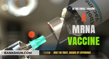 Is the Ebola Vaccine an mRNA Vaccine? Unraveling the Facts