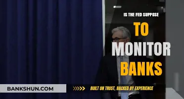 Is the Fed's Role to Monitor Banks? A Critical Analysis
