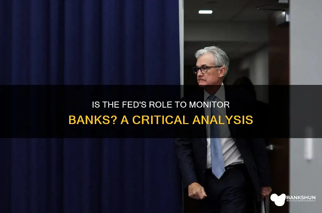 is the fed suppose to monitor banks