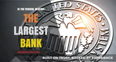 Is the Federal Reserve the Largest Bank in the World?