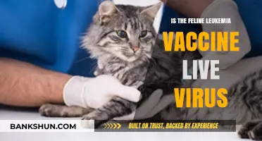 Is the Feline Leukemia Vaccine a Live Virus? Facts Explained