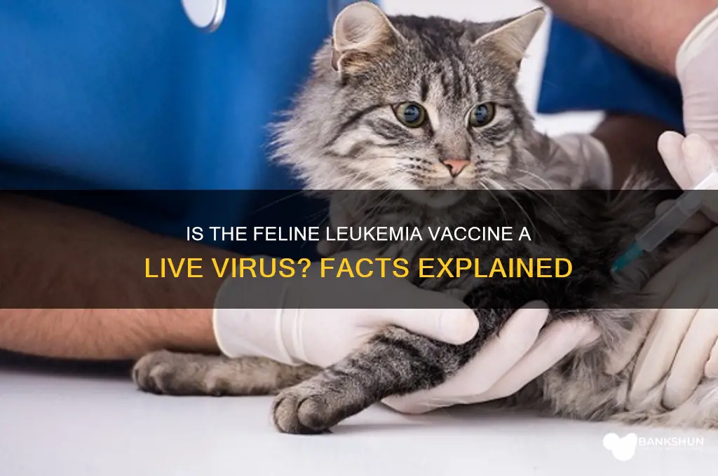 is the feline leukemia vaccine live virus