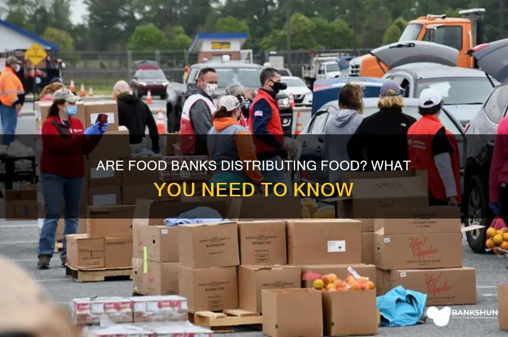 is the food bank giving out food