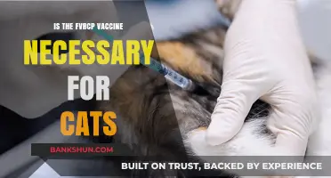 Is the FVRCP Vaccine Essential for Your Cat's Health?