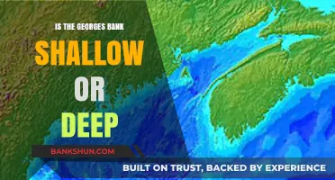 Georges Bank Depths: Shallow or Deep? Unraveling the Mystery