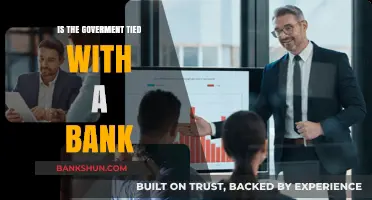 Government-Bank Ties: Unraveling the Financial Connections and Implications