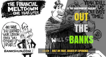 Government Bank Bailouts: Uncovering the Truth Behind the Financial Rescue