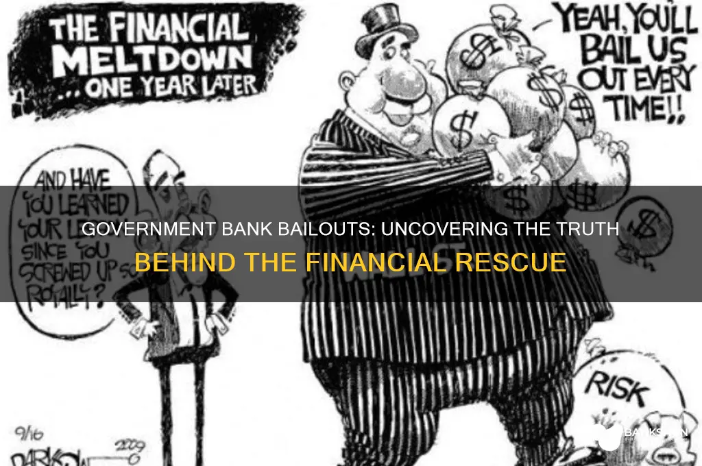 is the government bailing out the banks