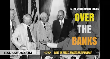 Government Control Over Banks: Fact or Fiction? Unveiling the Truth