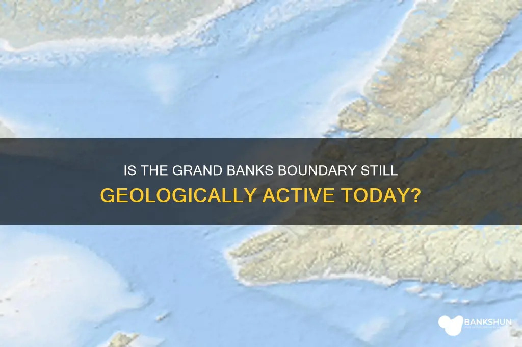is the grand banks boundary still active