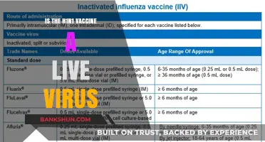 Is the H1N1 Vaccine a Live Virus? Facts and Safety Explained