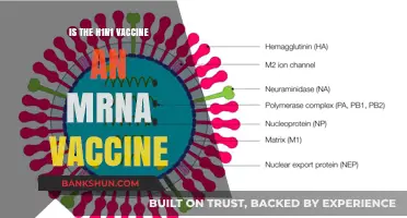 H1N1 Vaccine: Understanding Its Technology and mRNA Connection