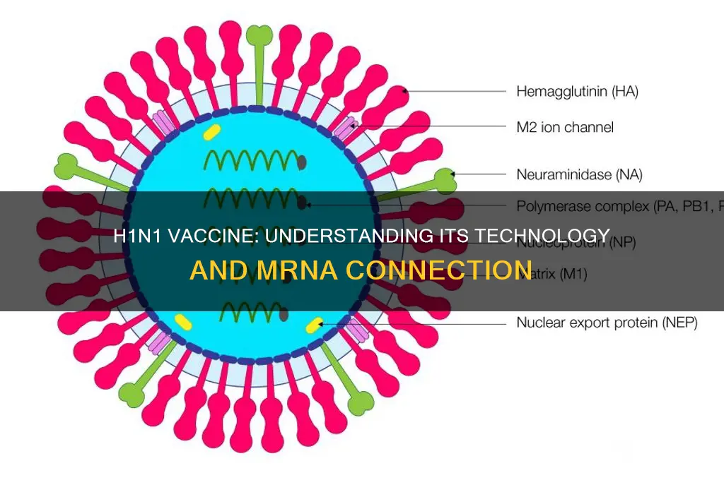 is the h1n1 vaccine an mrna vaccine