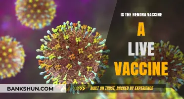 Is the Hendra Vaccine Live? Understanding Its Composition and Safety