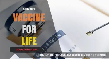 Hepatitis B Vaccine: Lifelong Protection or Periodic Booster Needed?
