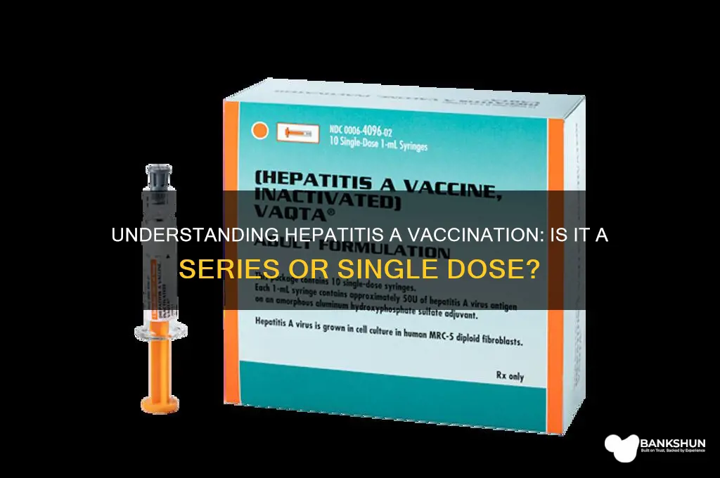 is the hepatitis a vaccine a series